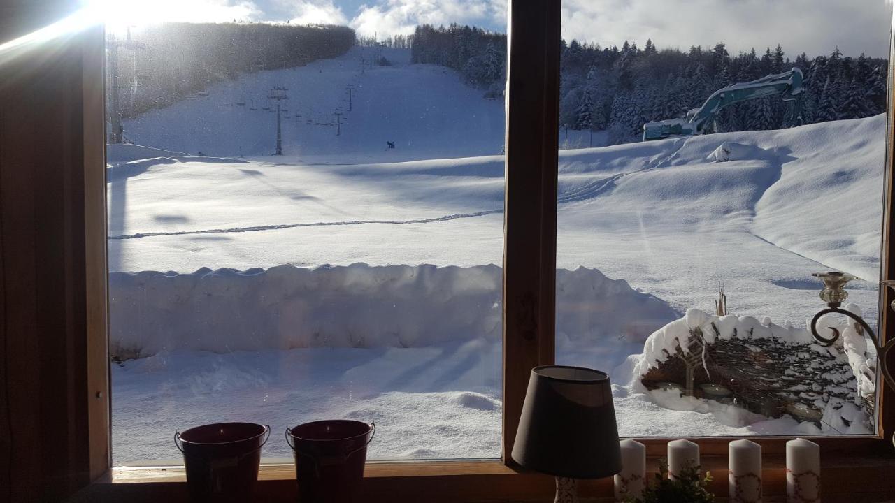 Pensjonat Laworta Ski Устшики-Дольне Экстерьер фото