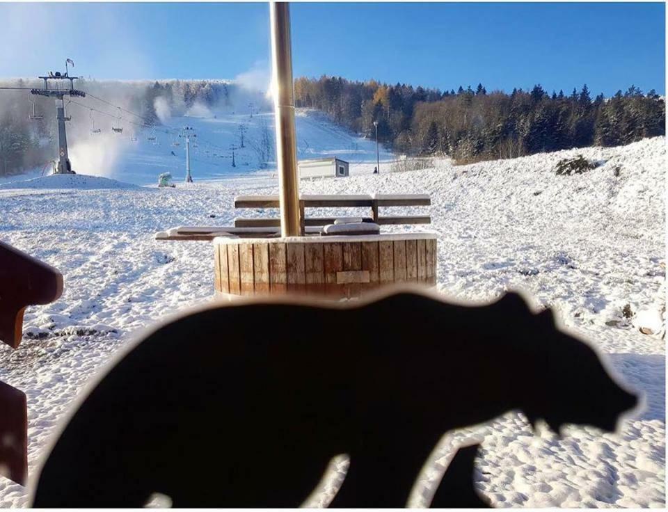 Pensjonat Laworta Ski Устшики-Дольне Экстерьер фото